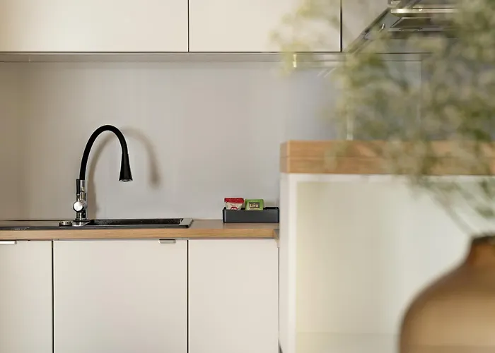 Διαμέρισμα Be - Nowa Motlawa - & Wellness, Parking, Pool, Gym Γκντανσκ